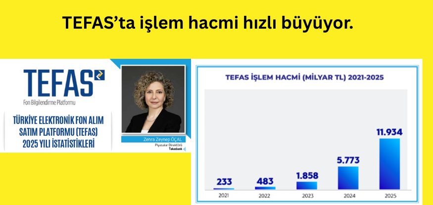 TÜRKİYE ELEKTRONİK FON ALIM SATIM PLATFORMU (TEFAS) 2025 YILI İSTATİSTİKLERİ..