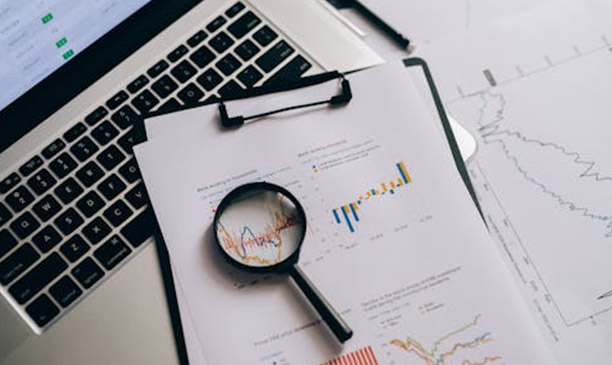 Değer Yatırımcısı